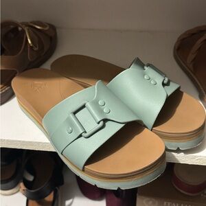 Teal Reefs • Banded Horizon Buckle Slide Sandal